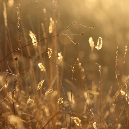 Belle Île, Bretagne